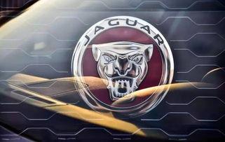 豹风全集在线观看,在线观看，领略速度与激情的极致魅力  第2张