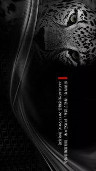 豹风全集在线观看,在线观看，领略速度与激情的极致魅力  第3张